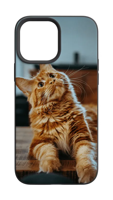 Phone case with orange cat photo